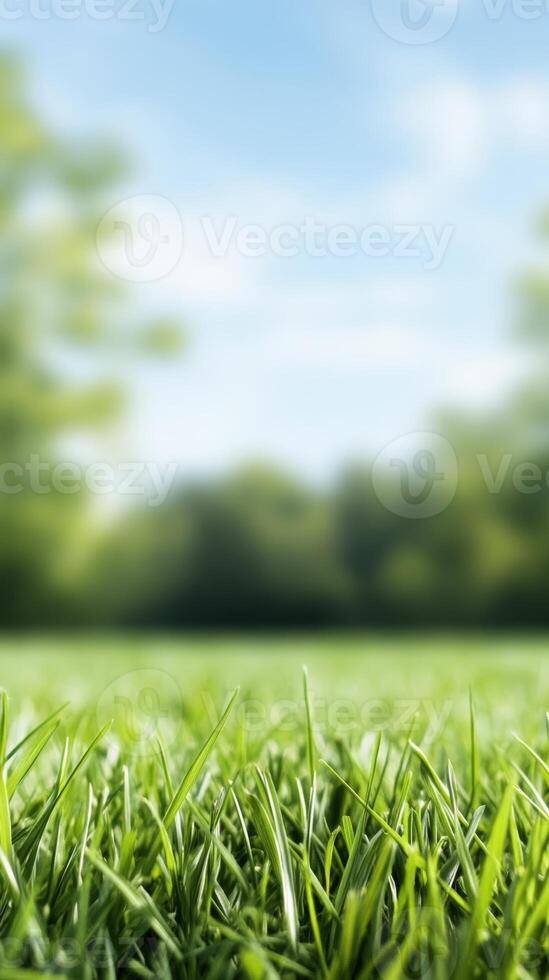 Lush green grass foreground with blurred trees in the background on a sunny day photo