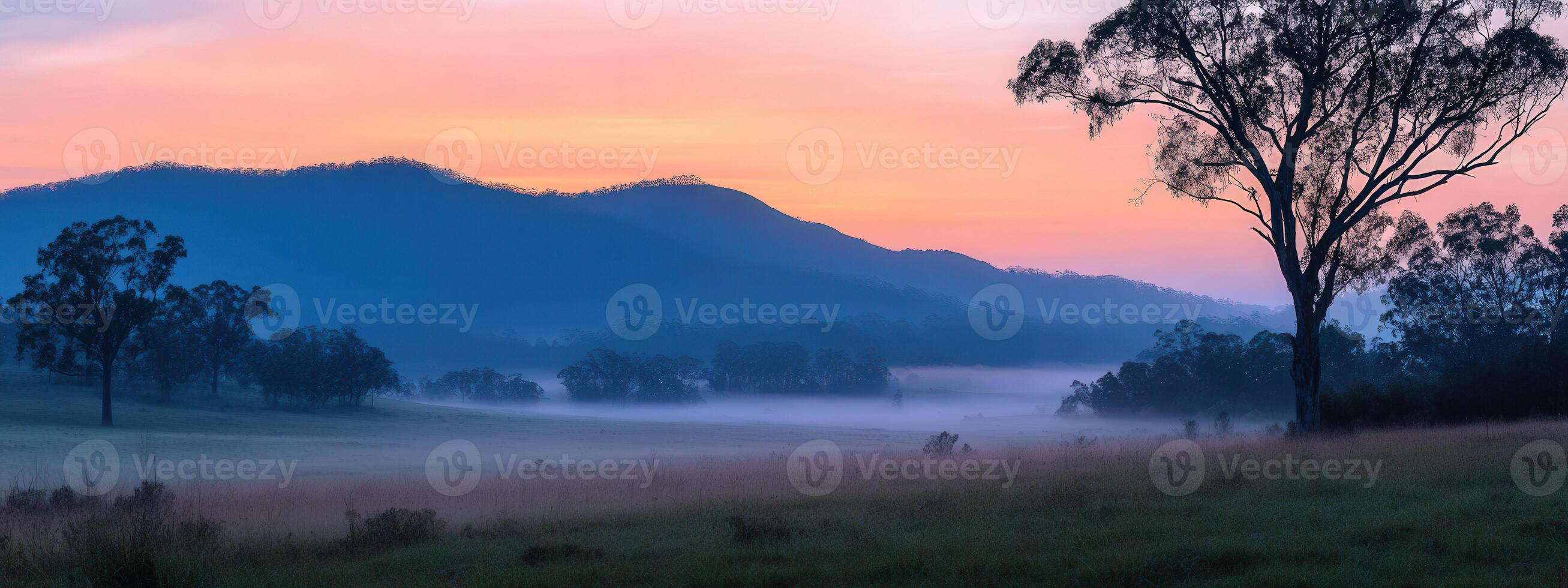 a misty morning in the mountains with trees and grass photo