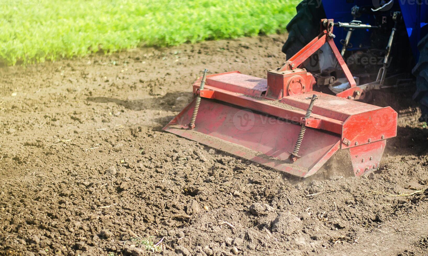 Tractor with milling machine loosens, grinds and mixes ground. Grinding and loosening soil, removing plants and roots from past harvest. Field preparation for new crop planting. Cultivation equipment. photo