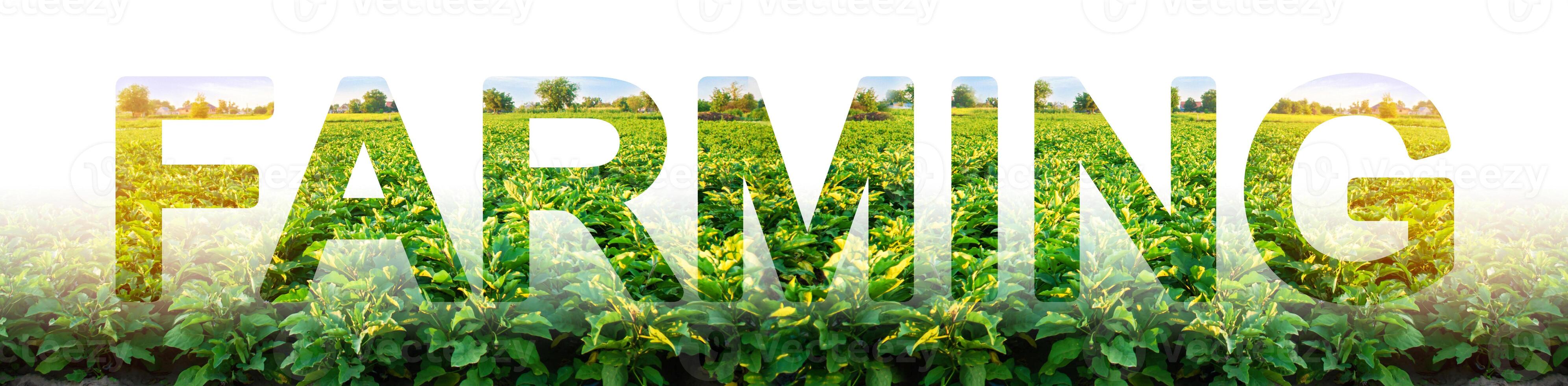 Word Farming on background of field plantation. Agroindustry and agronomy. Growing food vegetables, traditional farming. Agribusiness industry, collection of crops. Subsidies and tax breaks for farms photo