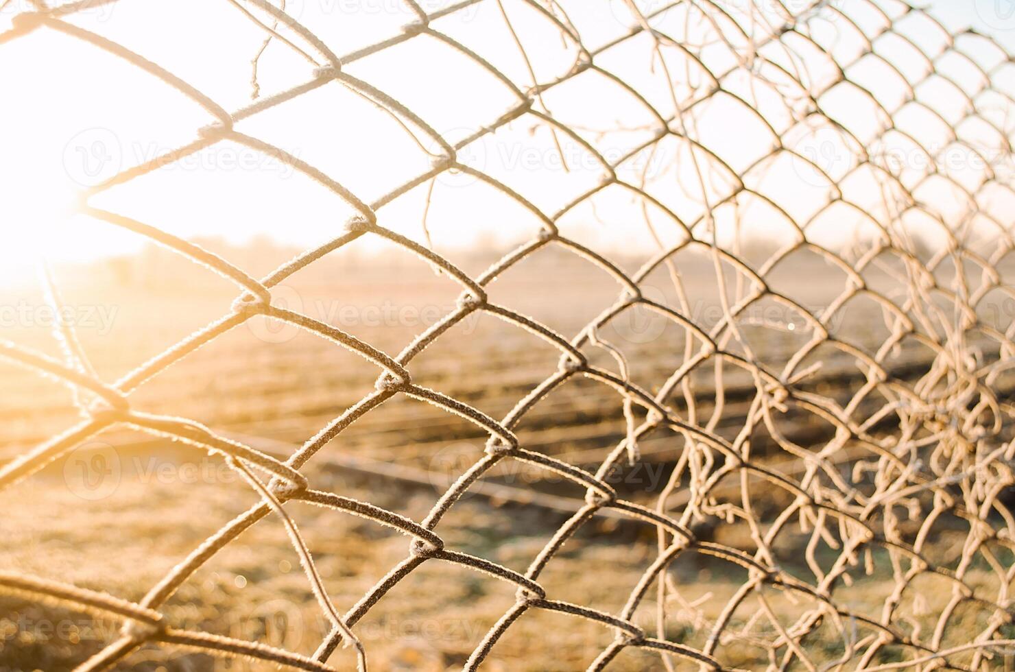 View of a winter farm field through a mesh fence. Beautiful sunrise in countryside. Property fencing and cattle barriers. Sunny day. Frost on fence grate, frosty cold. Agricultural industry photo