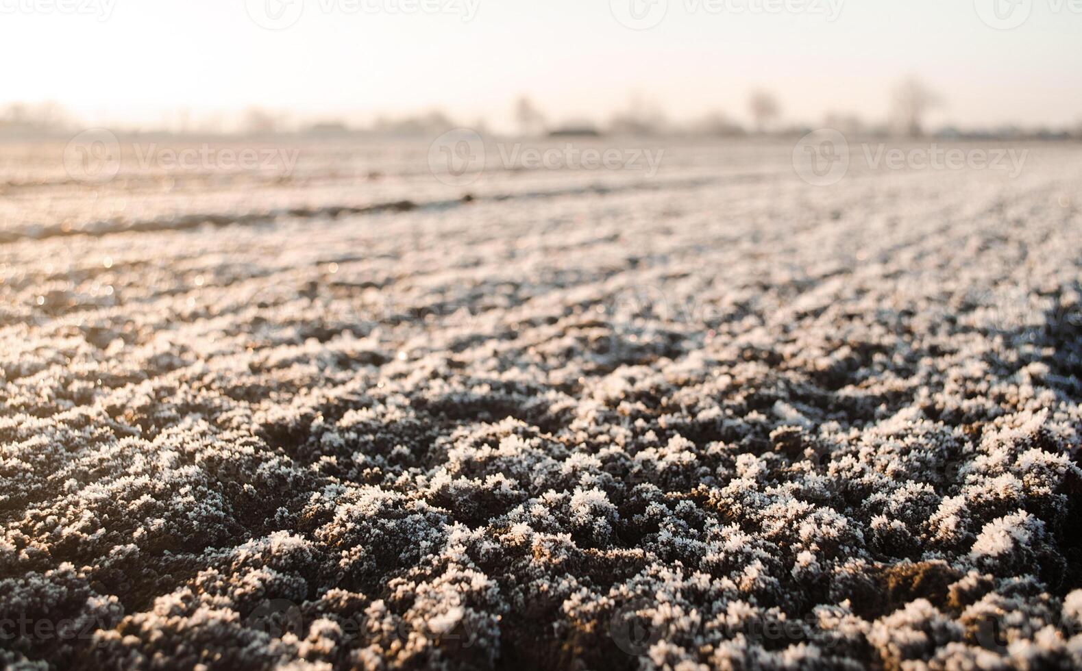 Frozen ground with hoarfrost on a farm field. Unpredictable weather, global climate destabilization. Weather forecast and development time strategy for sowing growing crops. Focus on frozen soil photo