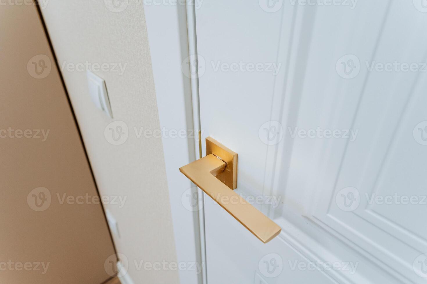 This image features a detailed closeup of a door handle that is situated on a pristine white door, emphasizing the craftsmanship and design of this essential household hardware photo