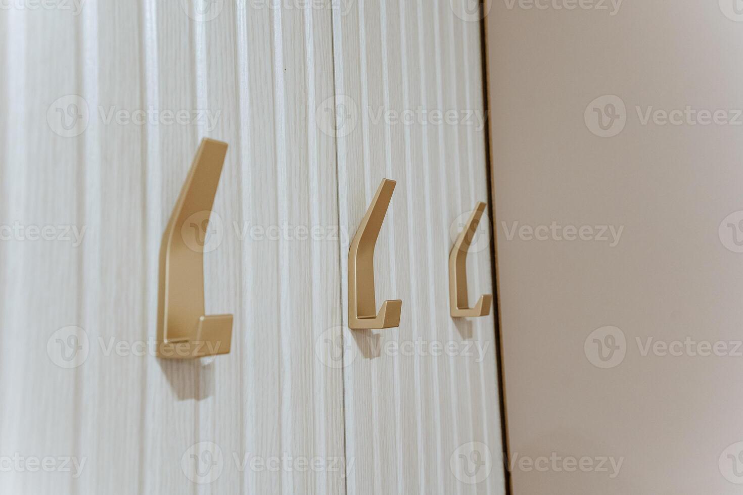 A row of sturdy wooden hooks on a bright white wall adds functionality and aesthetic appeal, enriching the rooms charm and creating a balance between practicality and design photo