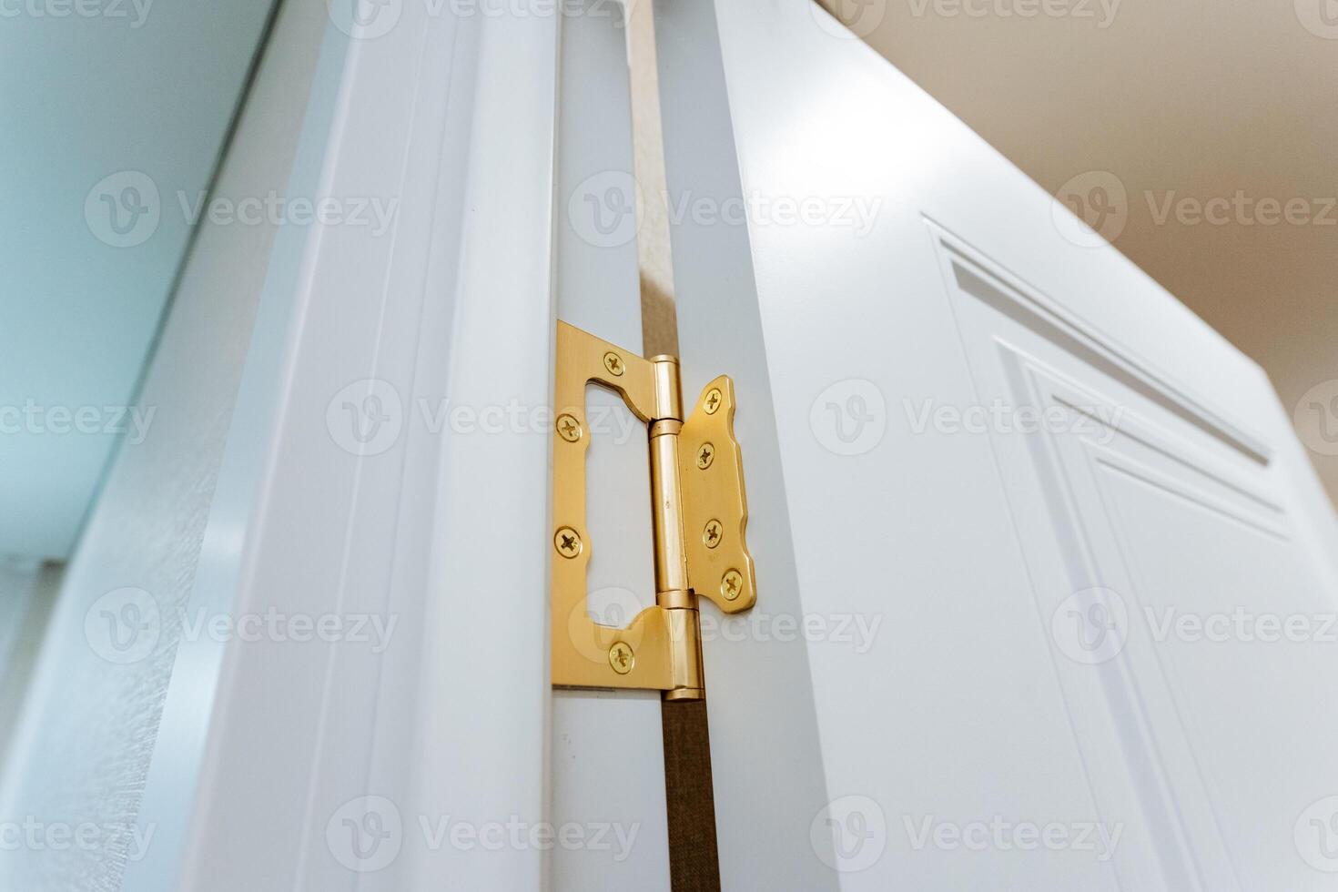 This is a closeup view of a door hinge affixed to a pristine white door, showcasing the intricate details of the hardware that allows the door to swing open and closed smoothly photo