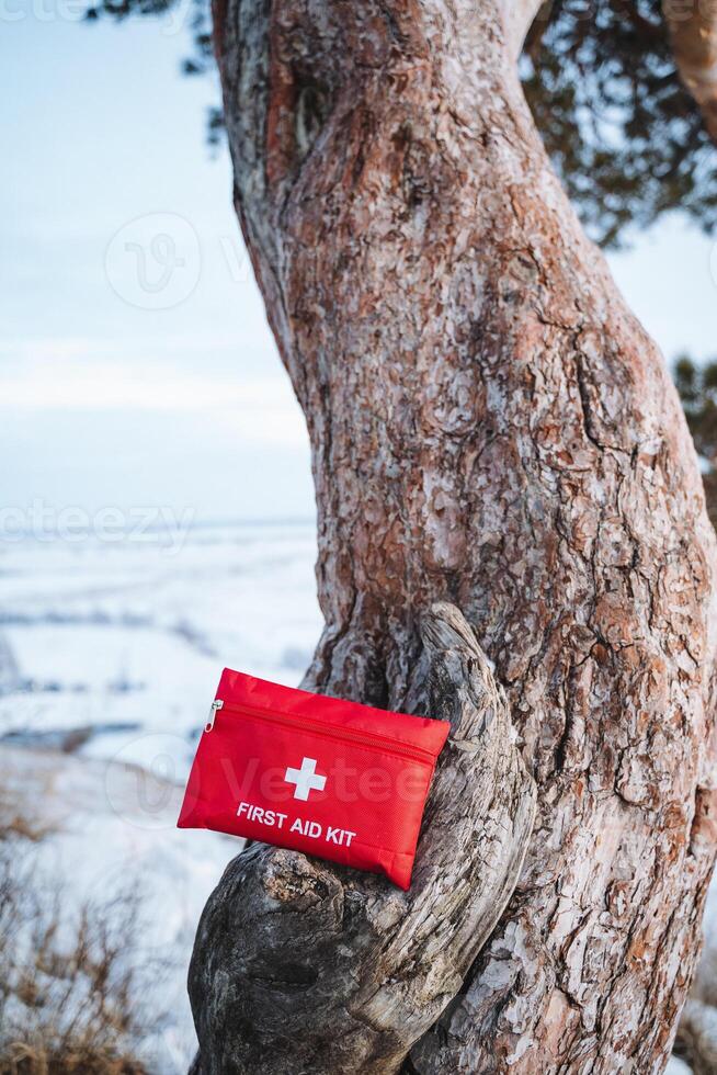 A bright red first aid kit is securely placed on a sturdy tree trunk, always ready for emergencies, ensuring the safety and wellbeing of adventurers exploring the great wilderness photo
