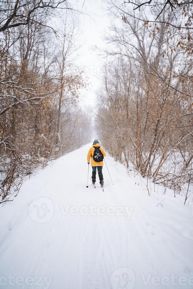 A person gracefully skis down a stunning snowcovered path that winds through tranquil woods, taking in the enchanting winter scenery on this delightful outdoor adventure, filled with joy photo