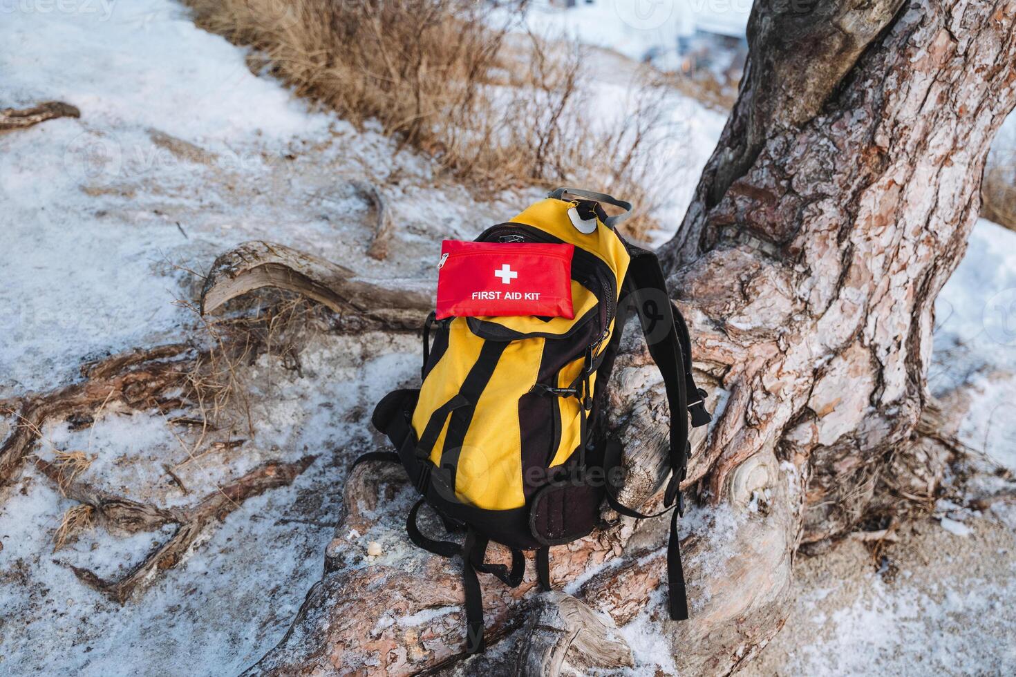 A bright yellow backpack and a vibrant red first aid kit lean against a large, sturdy tree, together creating a colorful and eyecatching scene set in natures serene and peaceful embrace photo