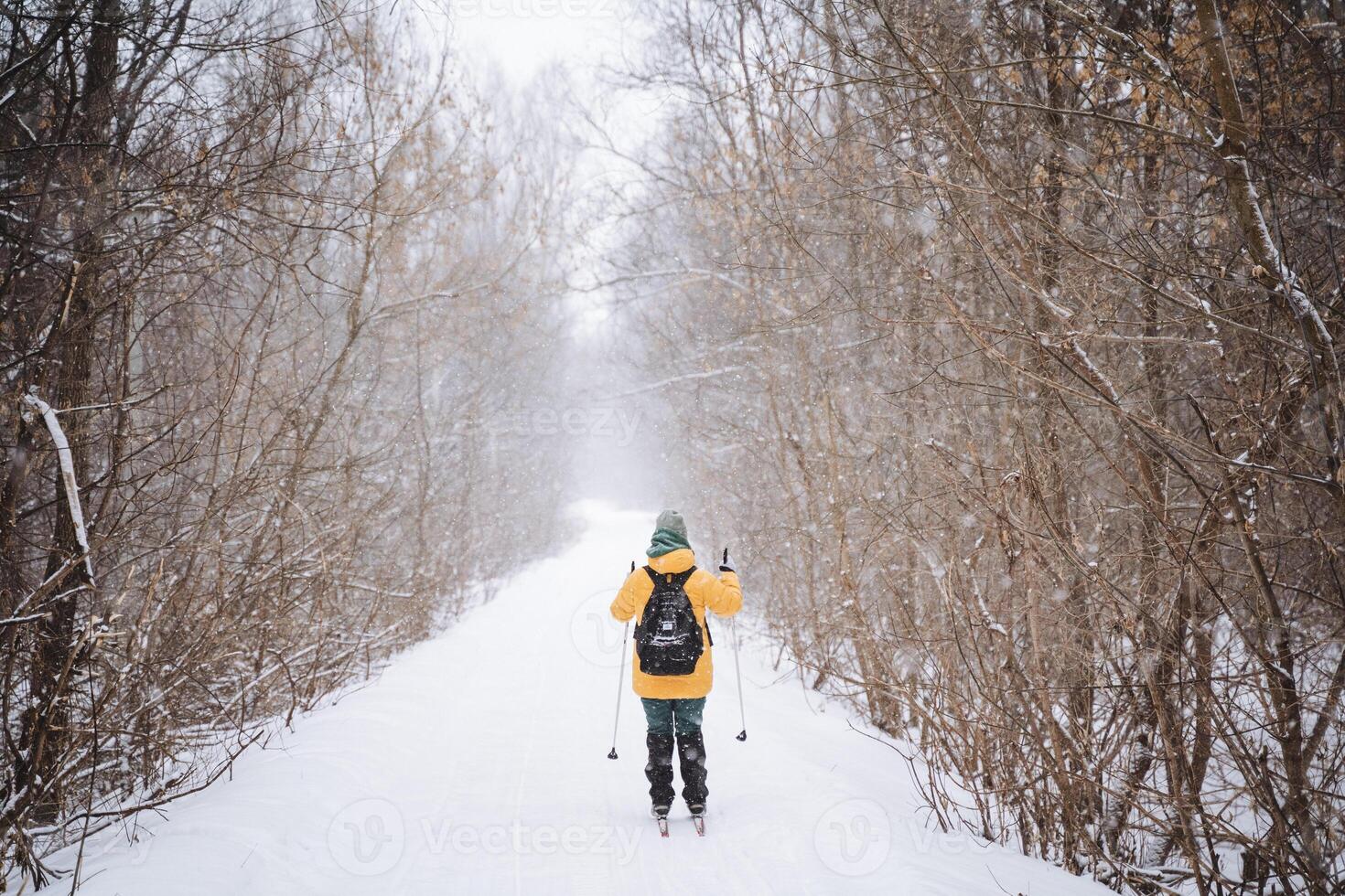 A person is leisurely walking down a picturesque snowy path that winds through a serene and beautiful woods, surrounded by the natural beauty of winters fresh white blanket of snow photo