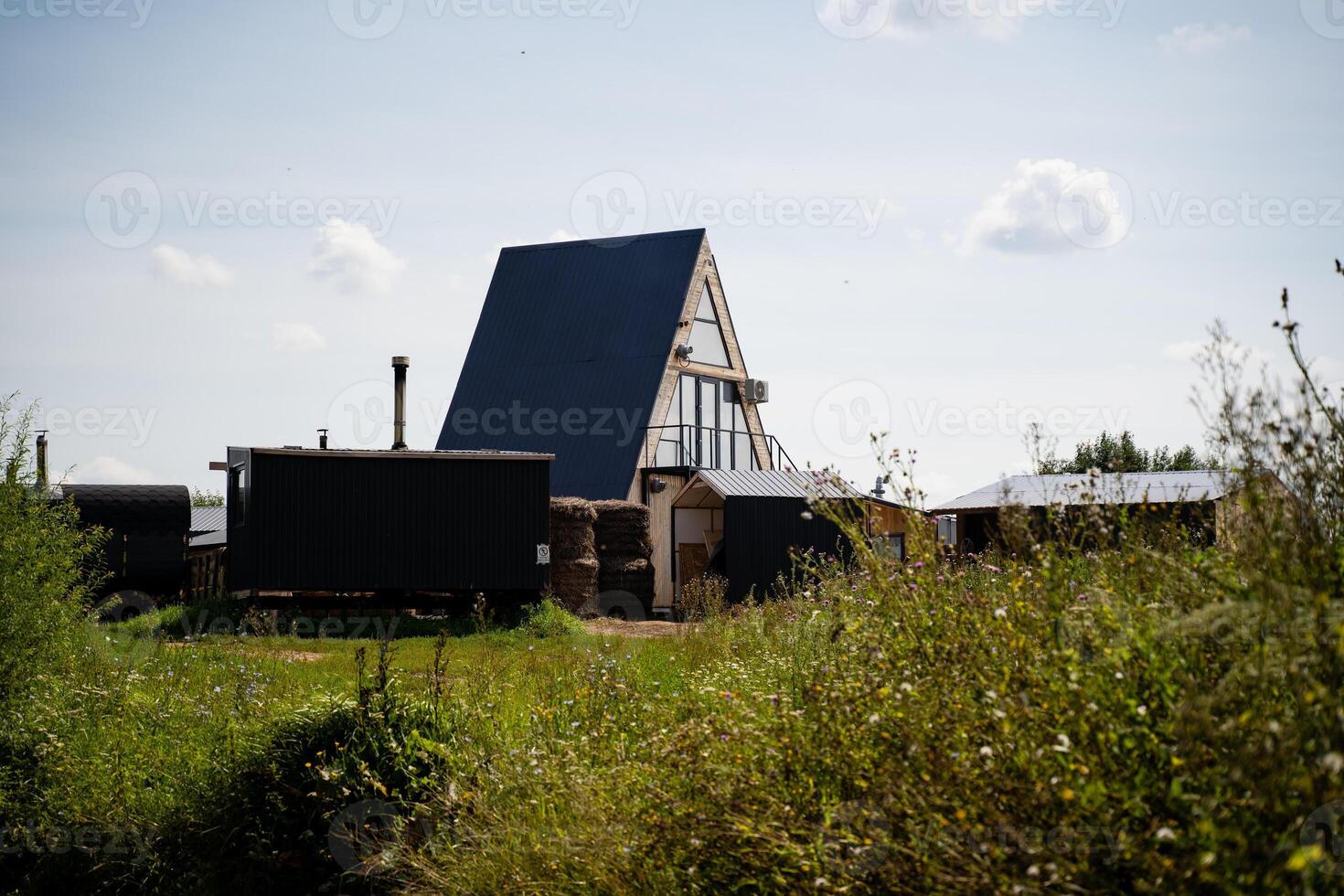 In a vibrant green field filled with life, a charming house adorned with a solar panel on its roof eagerly soaks up the warm sunlight under a perfectly clear blue sky, enhancing its appeal photo