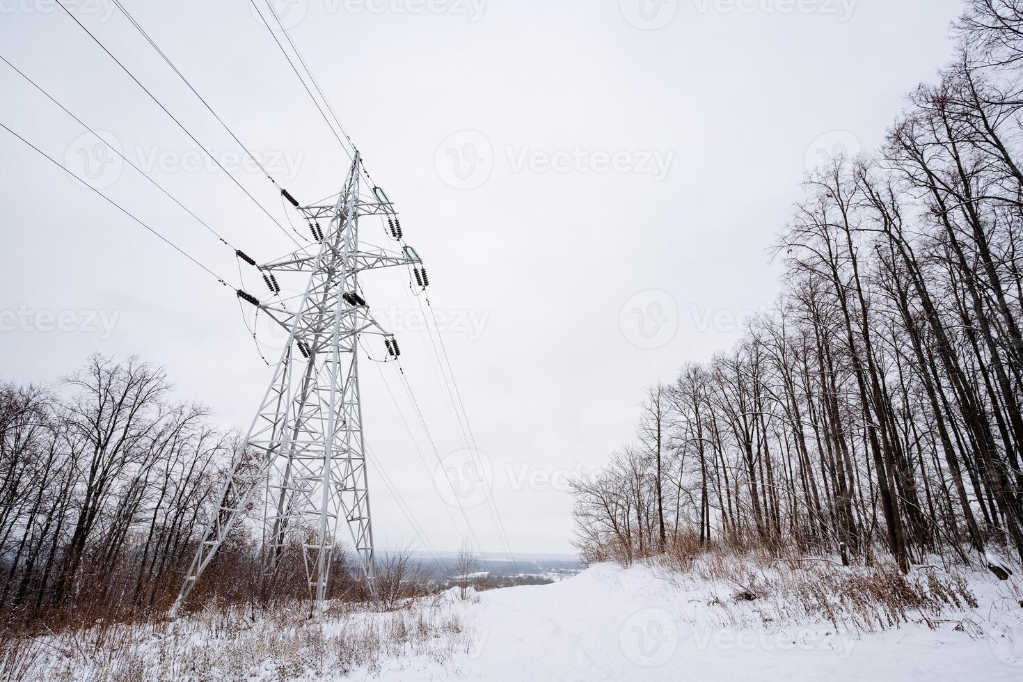 An electric power line stretches its way across a serene snowy forest, contrasting against the picturesque backdrop of towering trees and the delicate twigs coated in pristine white snow photo