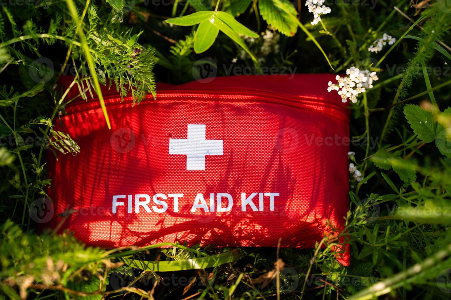 Having an Essential First Aid Kit ready when venturing into Nature is crucial for effective Emergency Preparedness photo