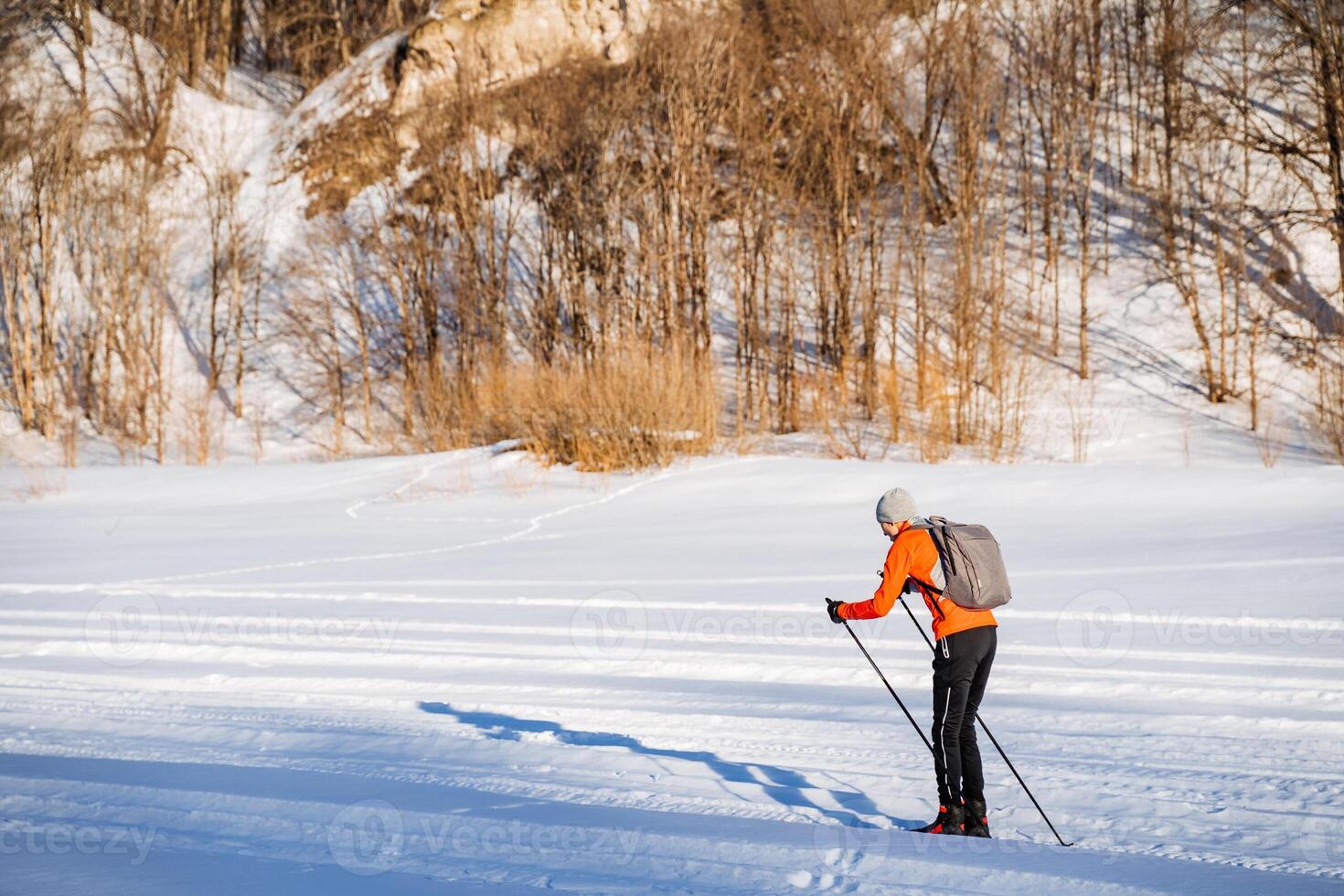Side view of skier who rolls on snow pushing with poles, man with backpack on walk in winter forest. photo