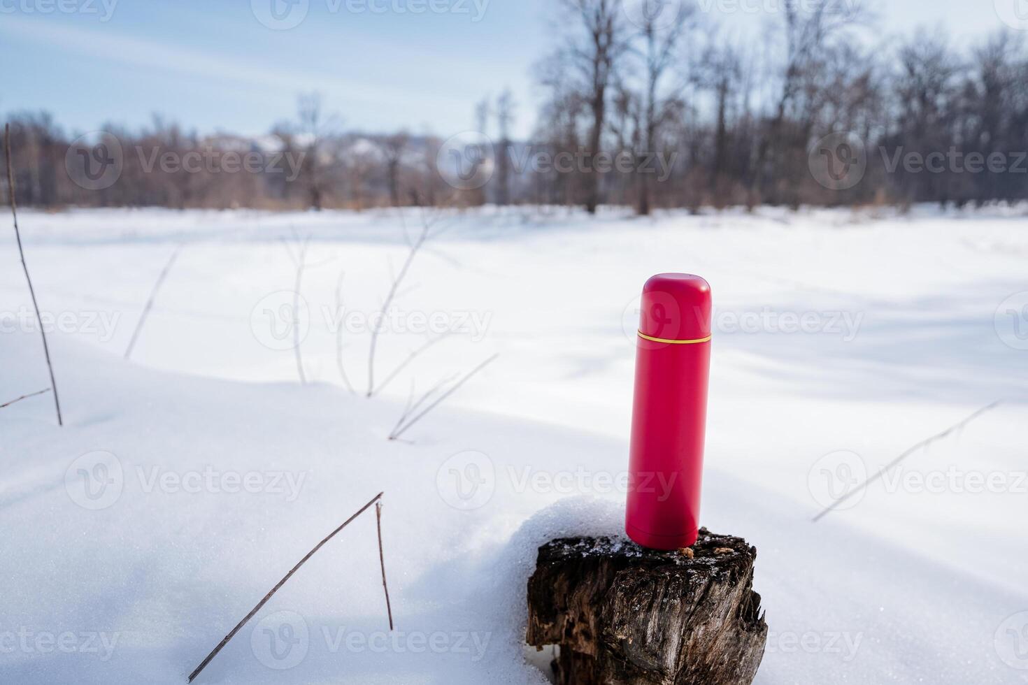 Red thermos sits on log in snowy nature, under sky with freezing temperature photo