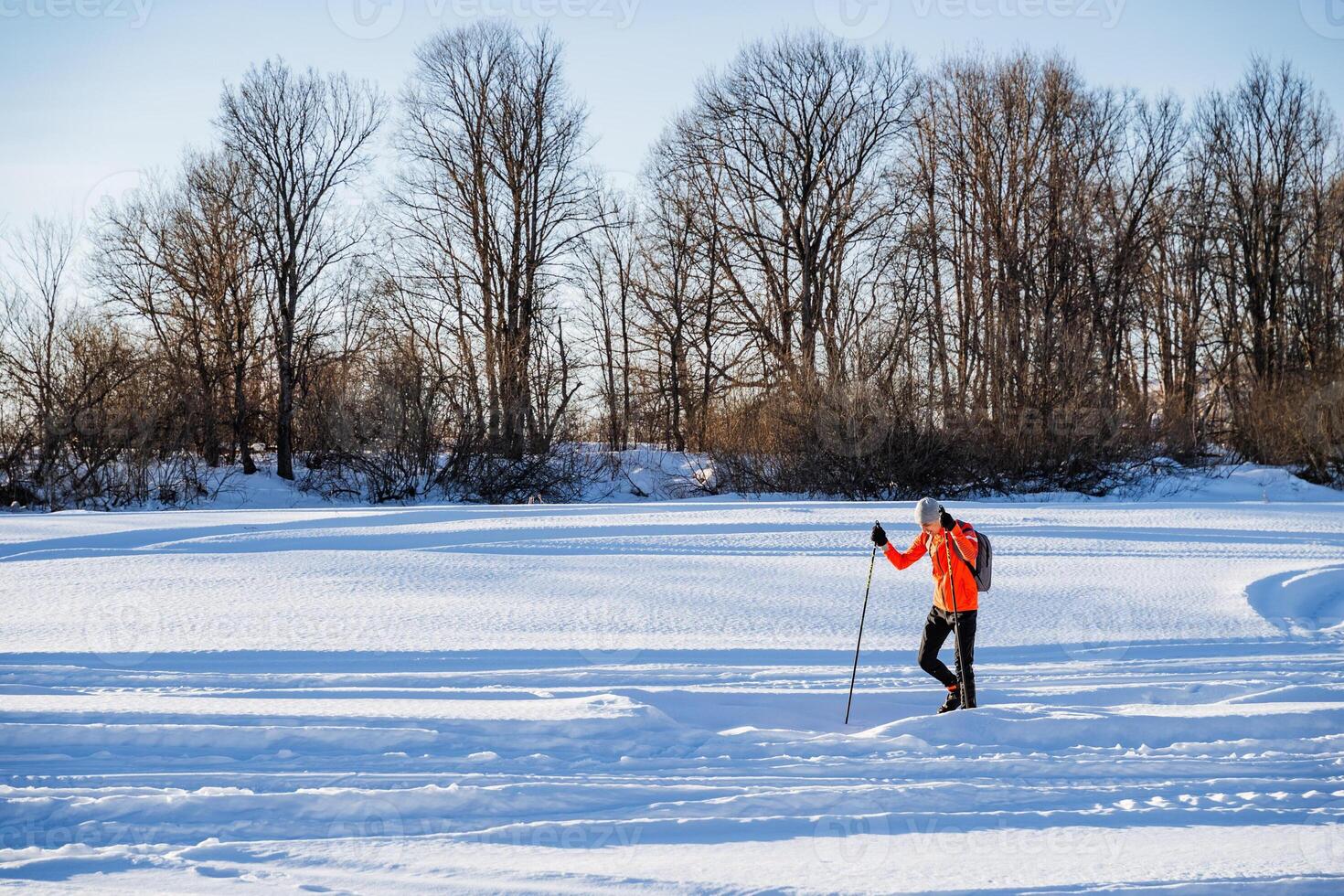Man with poles walking on deep snow in forest, man traveling in nature alone, adventure in winter in nature. photo