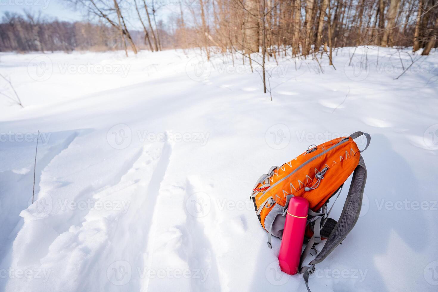 a backpack and a pink water bottle in the snow photo