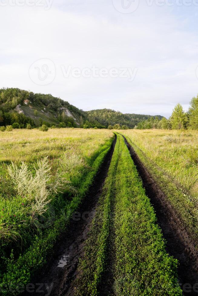 A winding dirt road stretches through a vibrant field filled with lush green plants, creating a natural and picturesque scene in the landscape that captures the essence of rural beauty photo