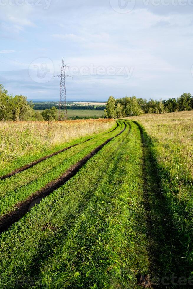 A dirt road gently winding its way through a lush, grassy field, with a power pole standing tall against a picturesque backdrop in the background, providing electricity to the area photo