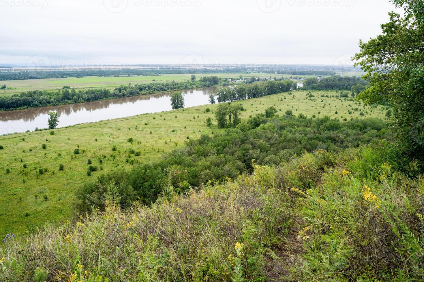 A river gracefully runs through a vibrant and lush green field that is beautifully surrounded by tall and leafy trees, creating a picturesque and serene natural landscape photo