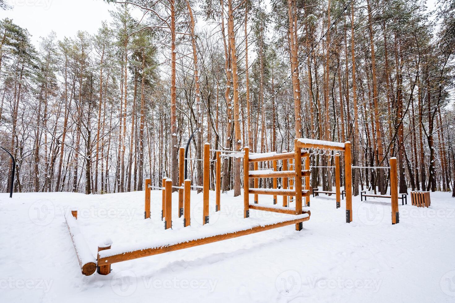 In a beautifully snowy forest, a charming wooden playground stands ready to invite children to play and explore the stunning winter scenery that is surrounded by majestic trees and nature photo