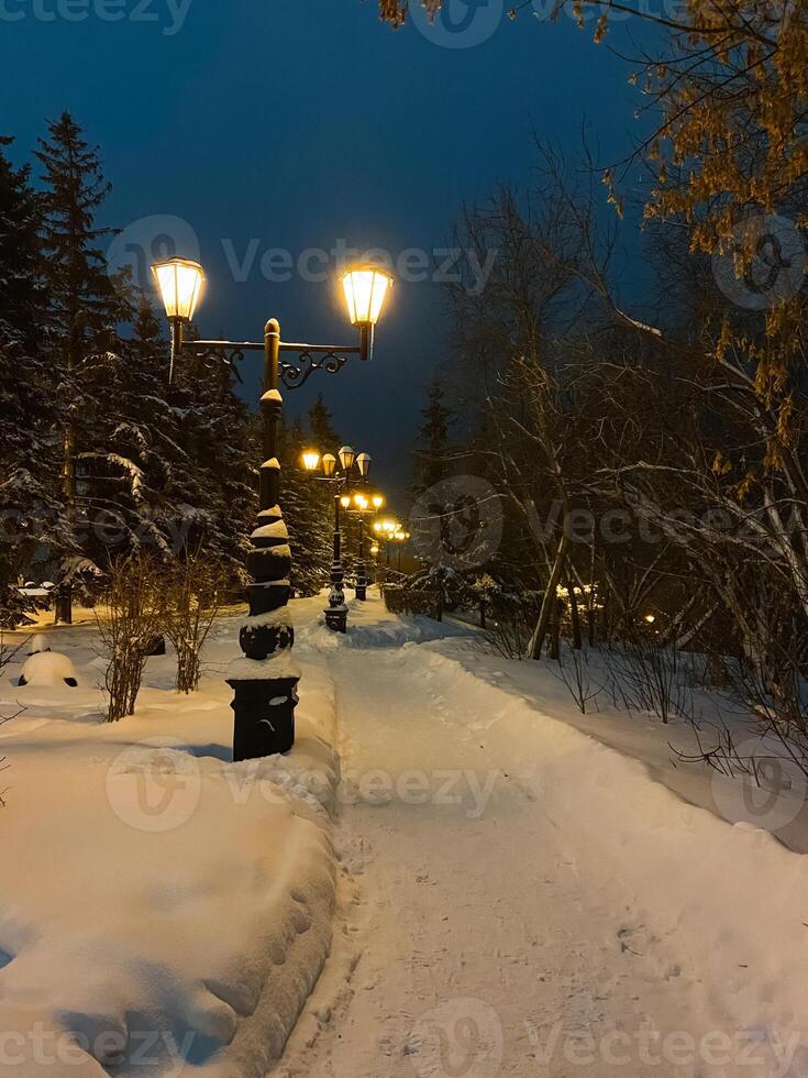 A beautifully snowy path is adorned with an abundance of twinkling lights shining brightly upon it, creating a magical winter scene that illuminates the chilly evening air photo