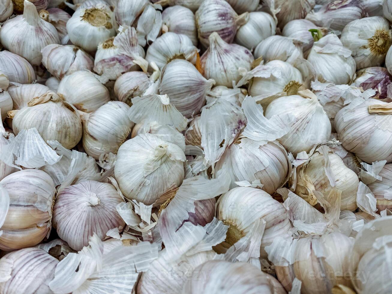 A sizable pile of fresh garlic is currently sitting on a table, waiting to be used in various culinary dishes or recipes that enhance flavor with its strong aroma and taste photo