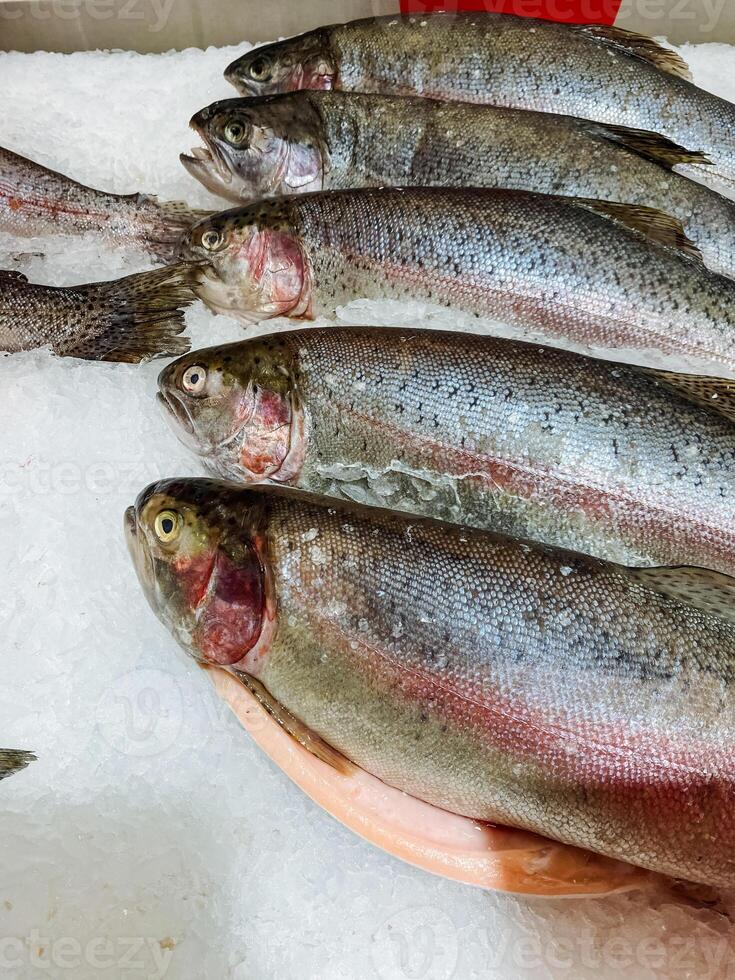 A collection of various fish are beautifully arranged and sitting on a plate, which is resting on ice, ensuring their freshness and inviting presentation for potential diners photo