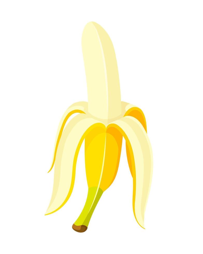 Opened banana in cartoon style isolated on white vector
