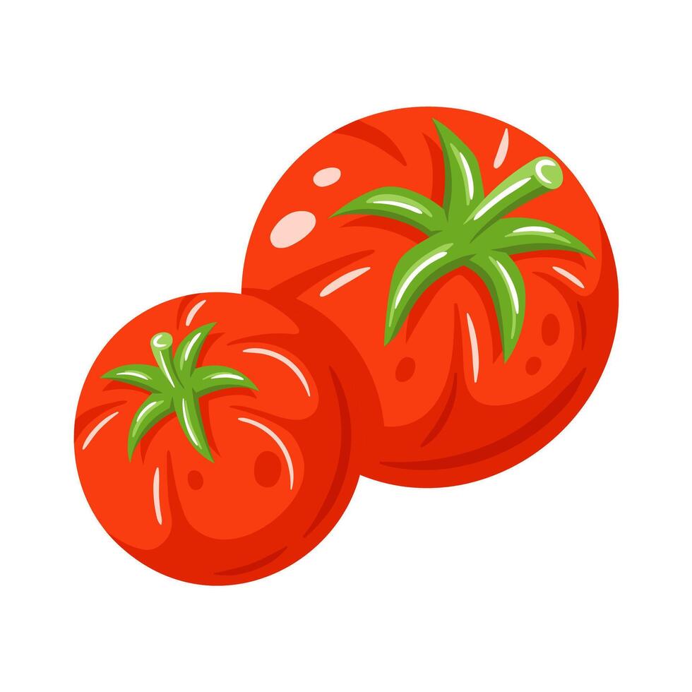 Red tomato isolated on white vector