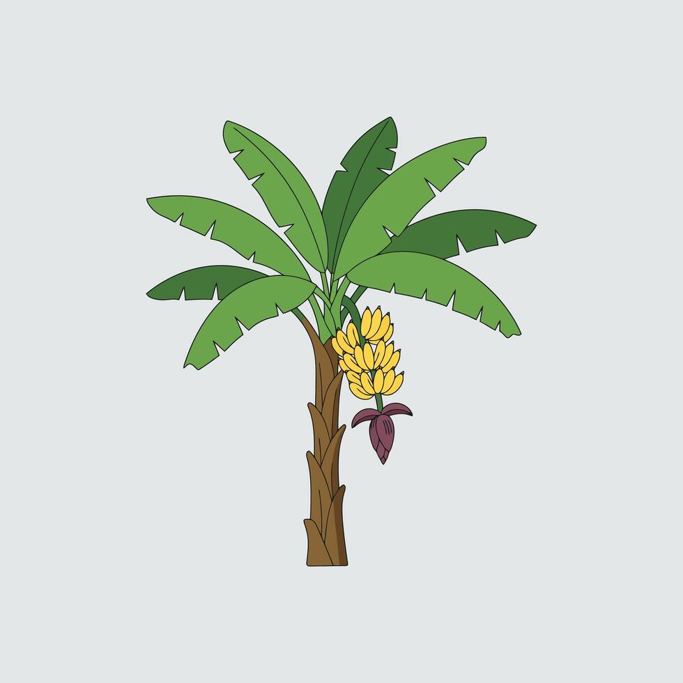 A charming line drawing showcases a banana tree, its lush green leaves and vibrant yellow bananas creating a cheerful, tropical atmosphere. The simple style adds to its appeal. vector