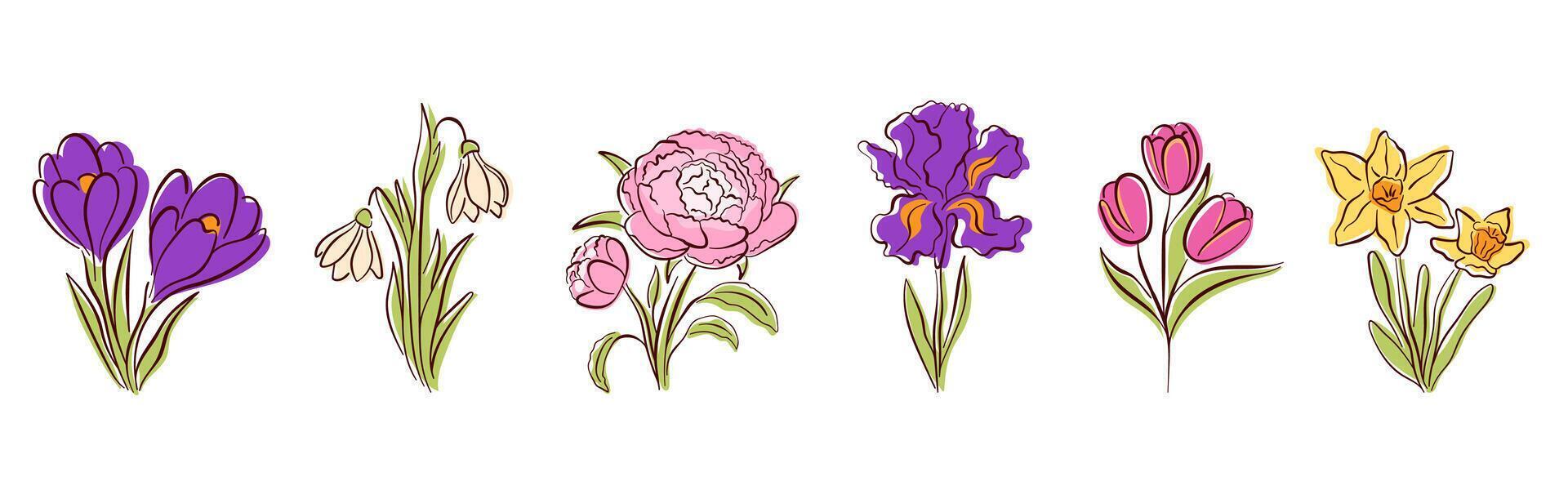 Spring flower set with crocus, snowdrop, peony, iris, tulip and daffodil in line art, flat style. Perfect for seasonal design, greeting card, poster and nature theme. Isolated on a white background. vector