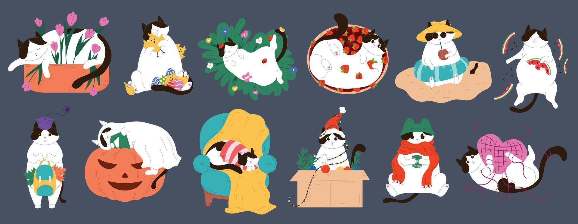 Cute seasonal tuxedo cat set showing activities throughout the year in flat style. Perfect for calendar, greeting card, decoration and pet store, shop design. illustration isolated. vector