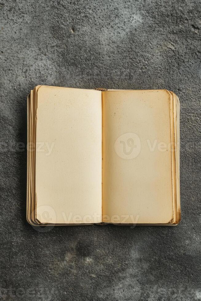 A book is open to a page with a blank space. photo
