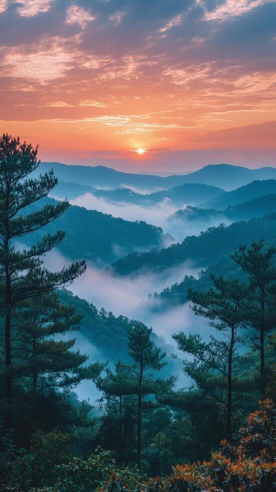 Sunrise over misty mountain valley, tranquil landscape, peaceful dawn photo