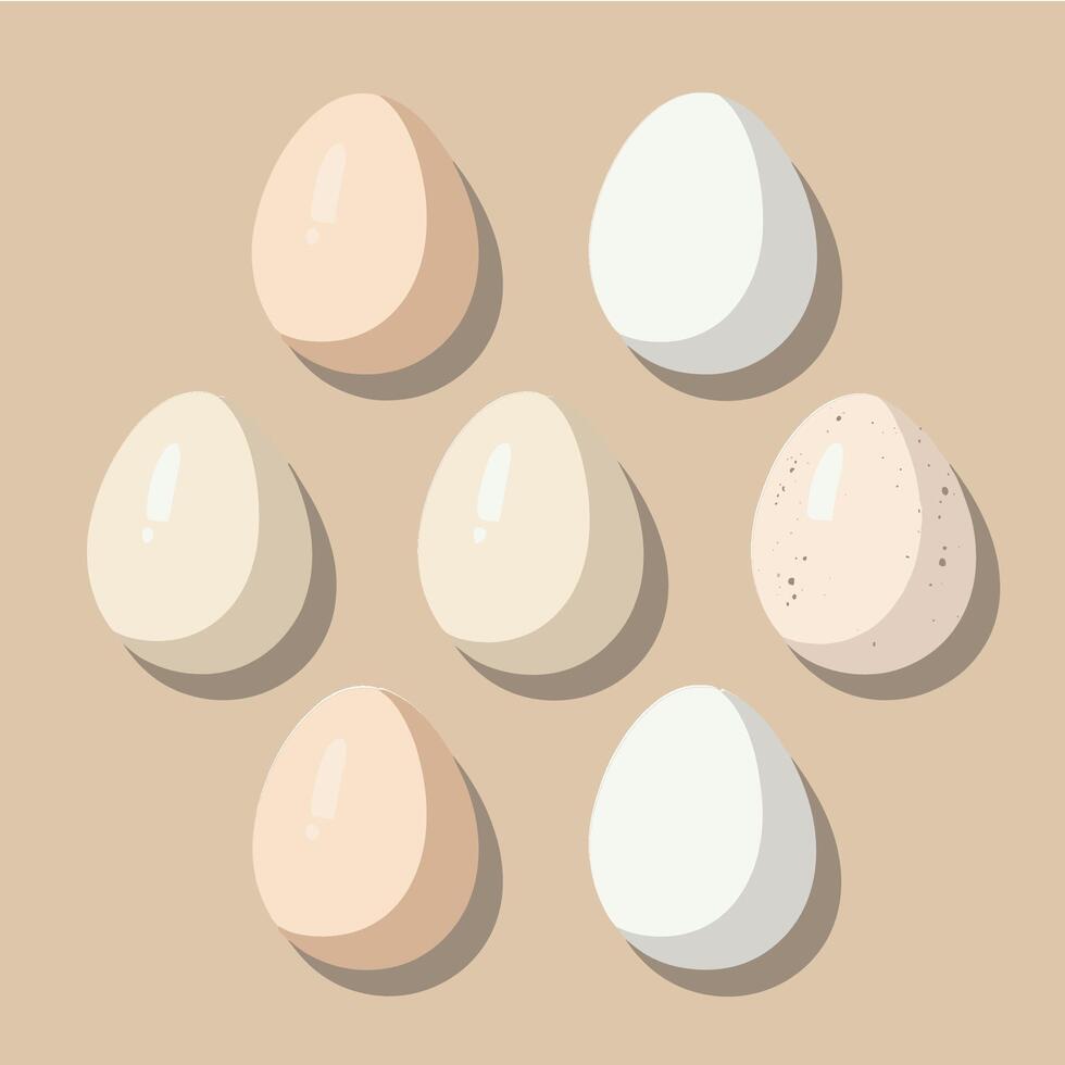 Minimalist Illustration of Various Eggs vector