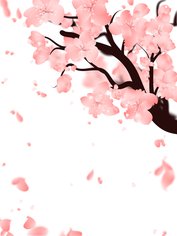 Pink sakura falling petals background, spring flower blossom frame. png
