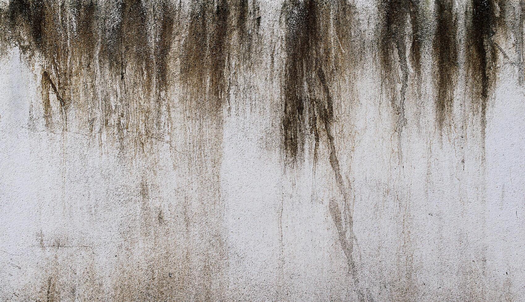 The white cement wall with rain stain photo
