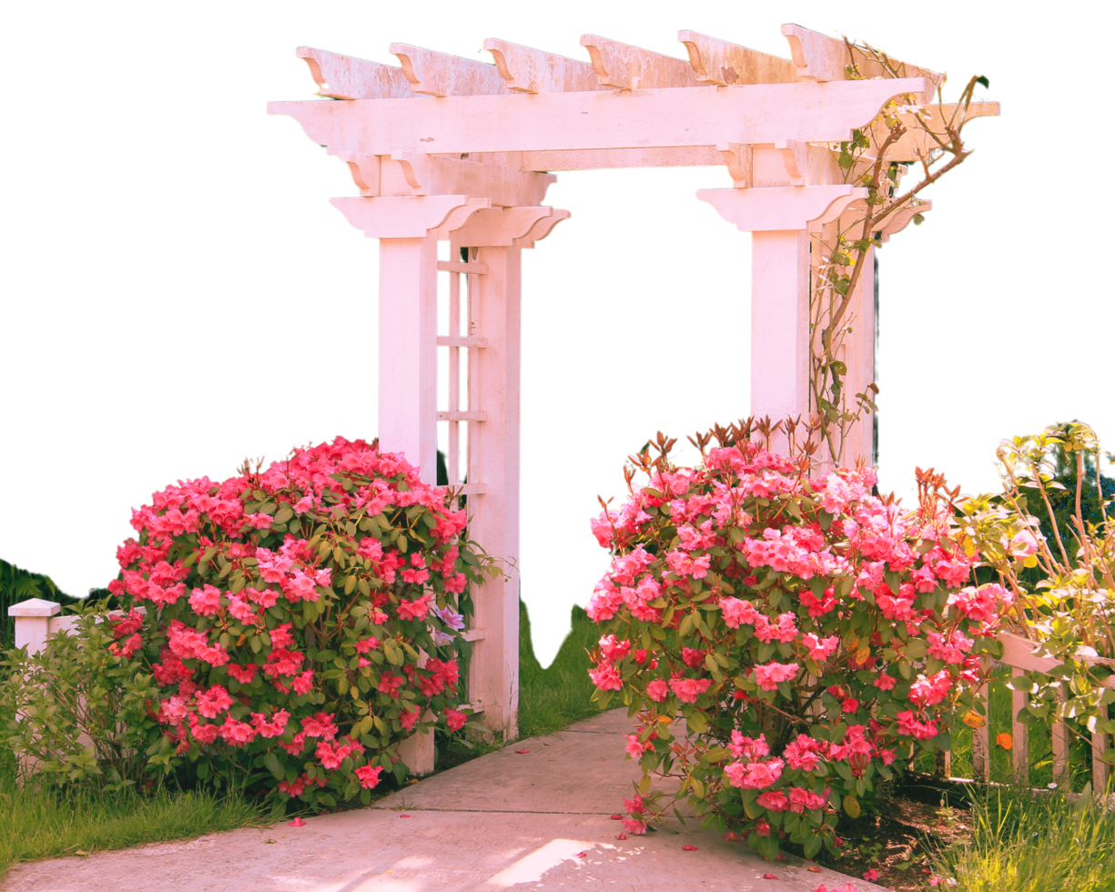 A white archway with pink flowers isolated on transparent background png