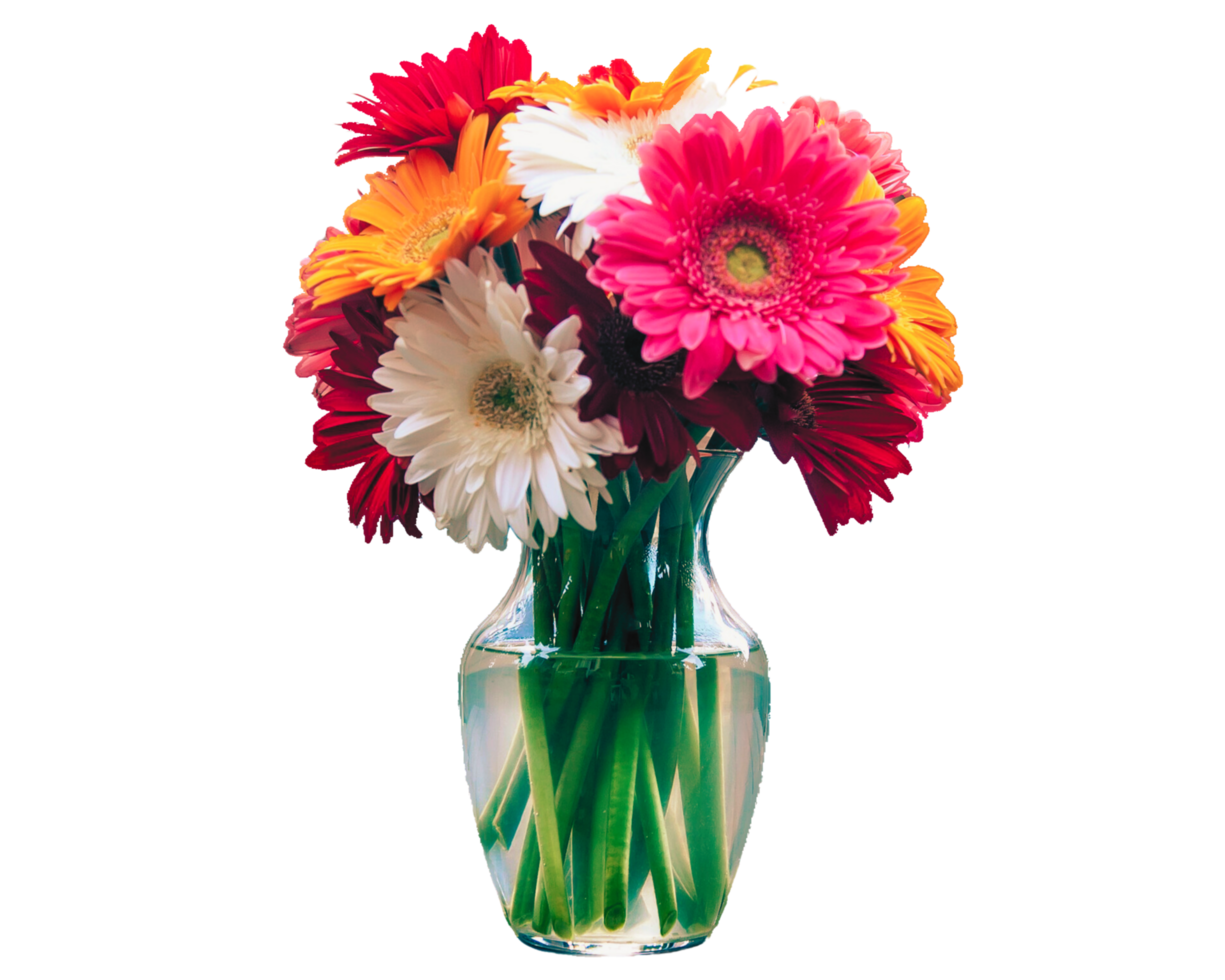 A vase with flowers in it isolated on transparent background png