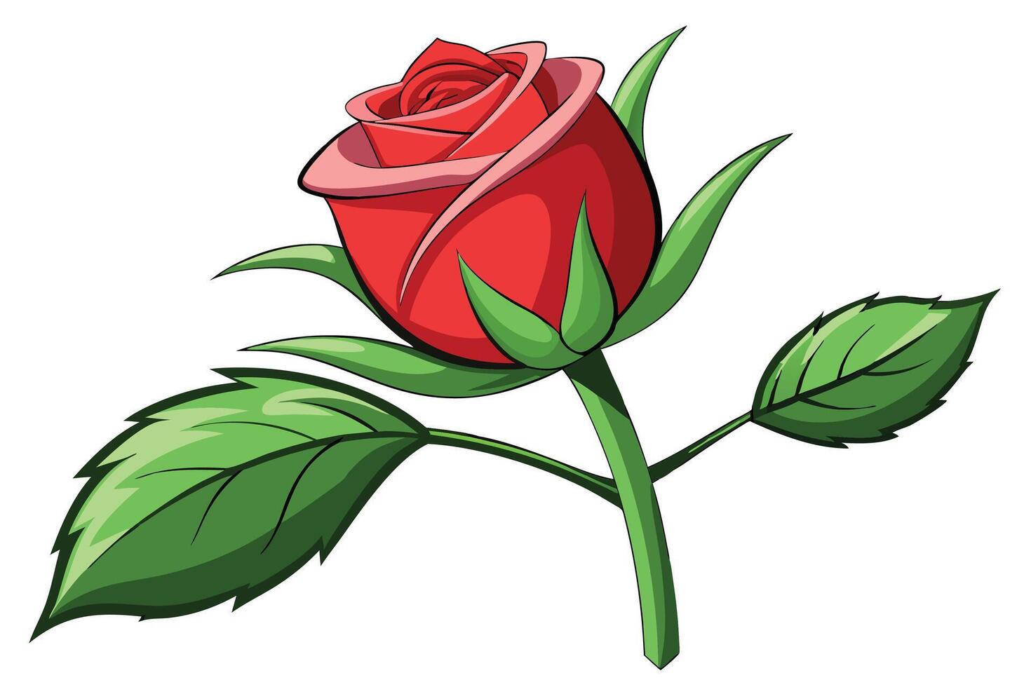 Single Red Rosebud Bloom, Green Leaves, Stem, Nature, Beauty, Botany vector