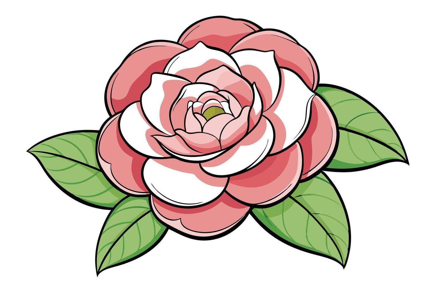 Pink Camellia Flower Illustration with Green Leaves, Botanical Art vector