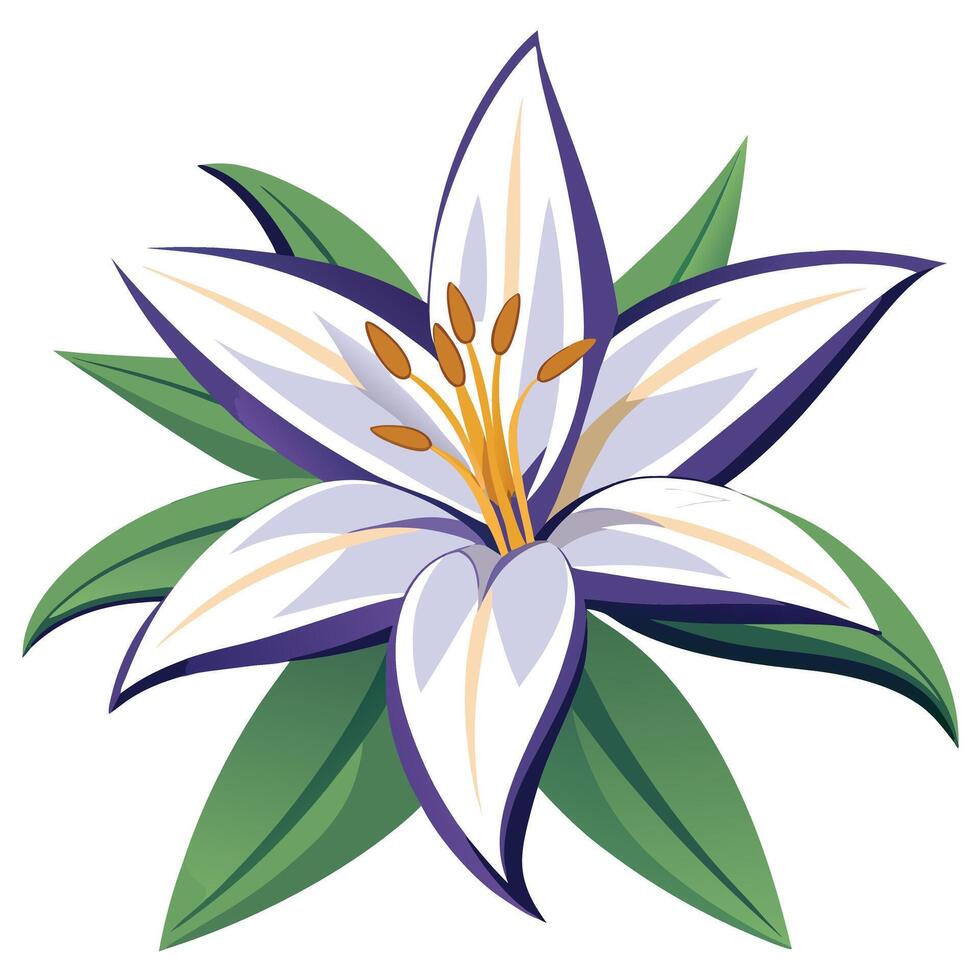 Elegant White Lily Flower Illustration Botanical Art Design vector