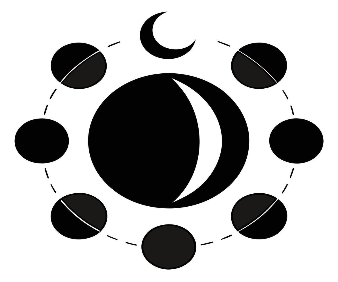 The moon and phases of the moon vector