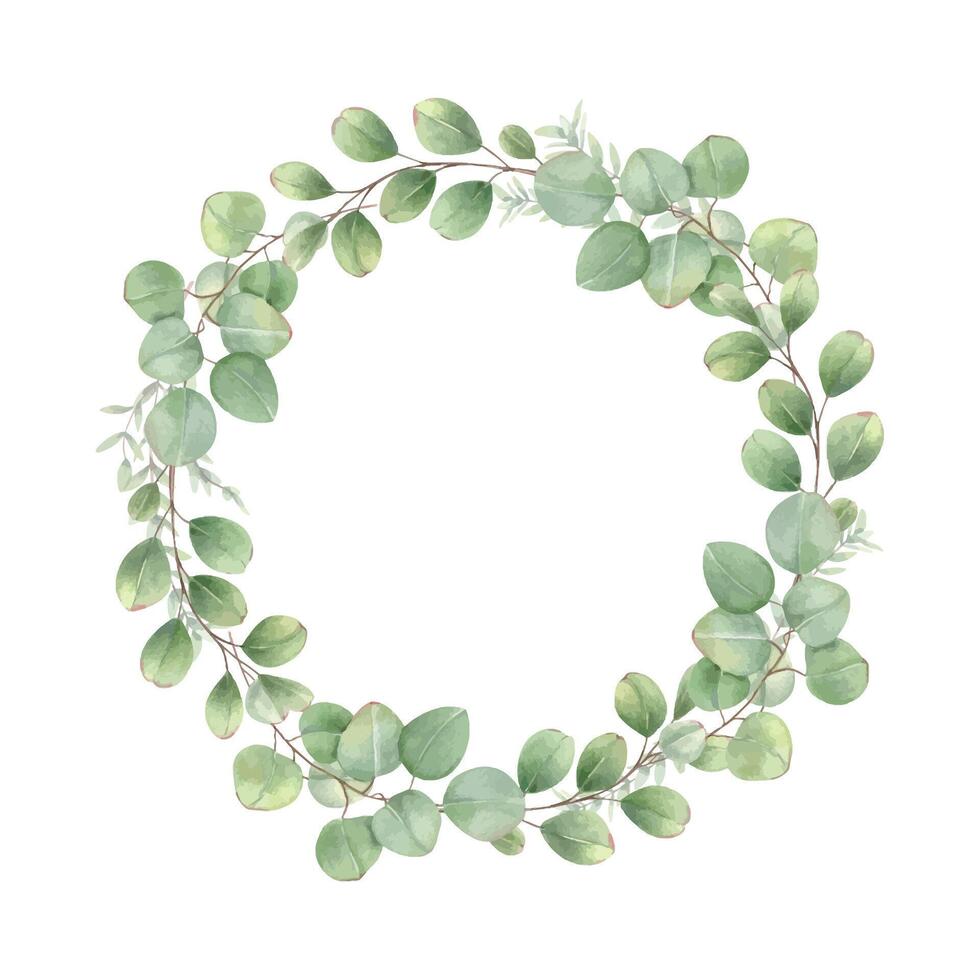 Watercolor green eucalyptus leaves wreath. Silver dollar tree foliage illustration with copy space for text. Floral round frame for stationary, wedding and birthday arrangement, invitation vector