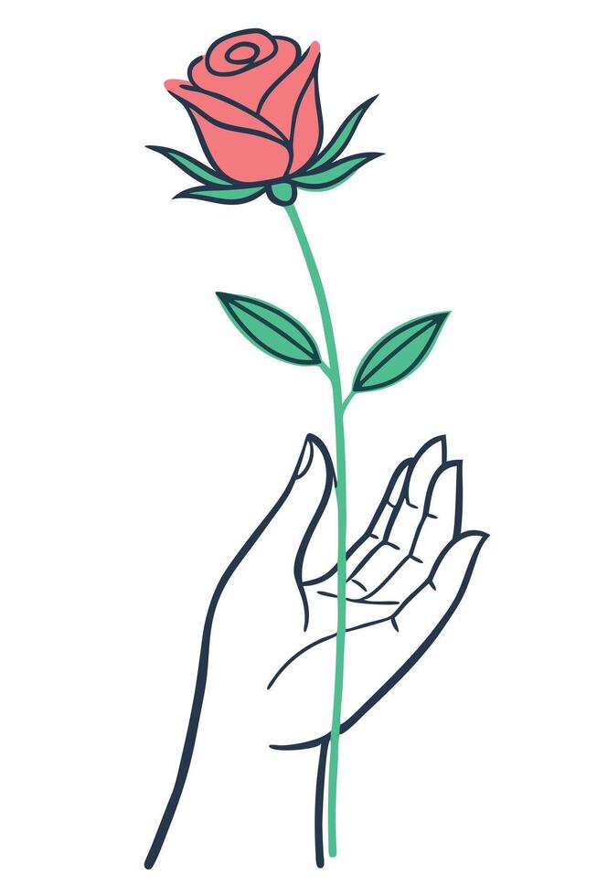 Hand Holding Single Rose Flower Stem Green Leaves Botanical Art vector
