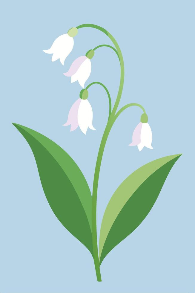 Elegant Spring Snowdrops Delicate White Bell Flowers vector