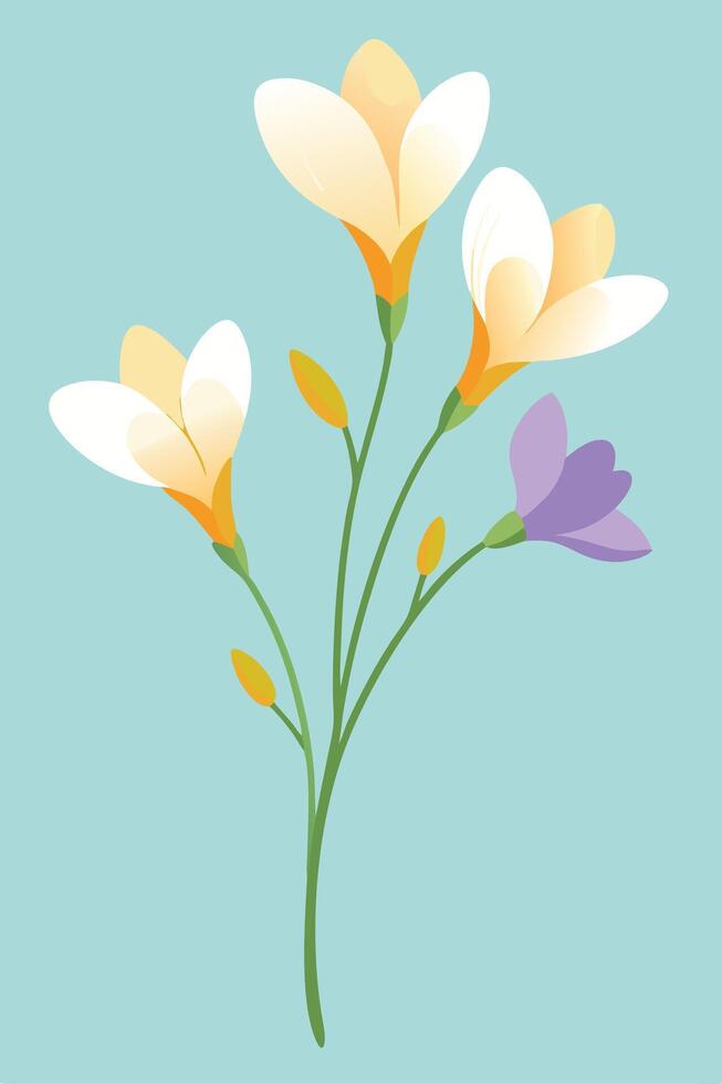 Elegant Freesia Flowers Spring Blooms, Pastel Palette, Delicate Petals vector