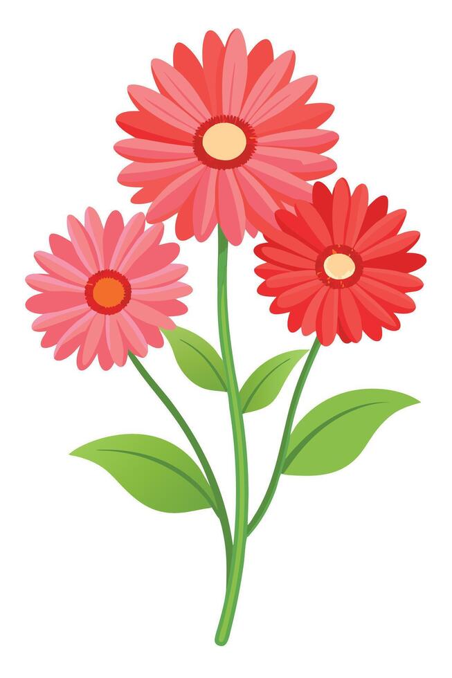 Vibrant Gerbera Daisy Bouquet Pink, Red Blooms, Green Leaves vector