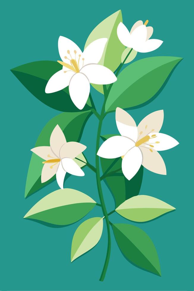 Elegant White Orange Blossom Branch, Green Leaves, Floral Art vector