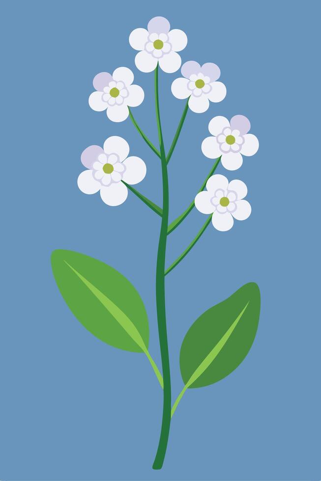 Elegant White Flower Stem, Delicate Blossom, Spring Bloom, Nature Illustration vector